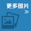 更多图片