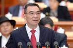 林毅夫委员发言