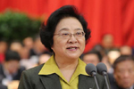林文漪主持会议