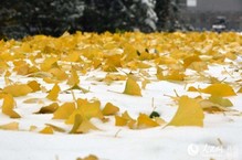 节气小雪：品读那些飘进唐诗宋词里的雪