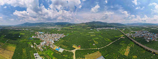 蒙自万亩石榴园远景。蒙自市融媒体中心供图