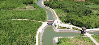 王英水库阳武干渠水流欢腾。湖北省王英水库管理局供图