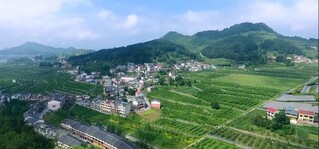 5、产业兴乡村美。.jpg