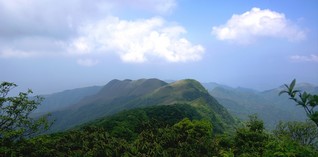 石阡：有风景的地方就有“绿色银行”。