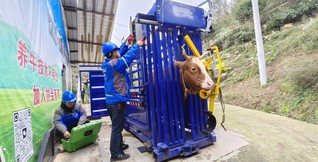 2 图为利用5G的大带宽和低延时特性实现精准养殖的农业生产管理。