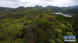 （社会）（11）海南热带雨林国家公园：打造自贸港生态名片