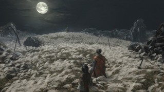 《只狼》亚太区将由方块游戏发行 包含简体中文