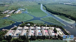 （经济）（1）雄安新区重点项目建设稳步推进