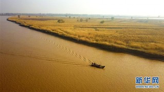 （环境）（4）内蒙古托克托县：黄河两岸秋色美