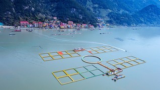 福安市下白石镇宁海村。郭文正摄