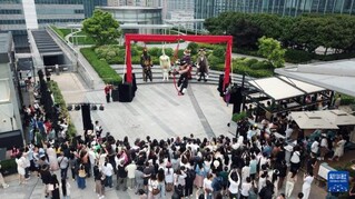 5月7日，观众在长沙国金中心观看木偶剧演出（无人机照片）。新华社记者 陈振海 摄