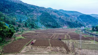 官舟镇油菜全程机械化示范点种植基地