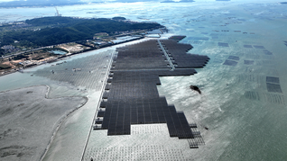 近日，我国首个建设在高风速海域的海上光伏项目首批发电单元并网。漳州市东山县融媒体中心供图