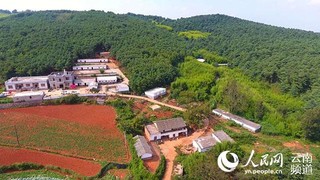 致富养鸡视频_致富养鸡好段_致富经养鸡