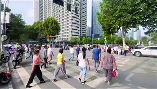 信号灯四面全绿，四个方向的行人均可过街