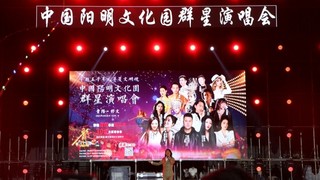 中国阳明文化园群星演唱会--姜继恒 摄.jpeg