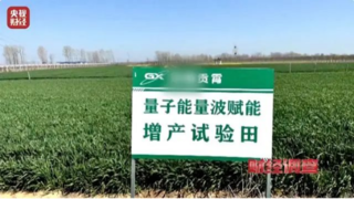 然而在不法人员的操作下量子力学却突兀地出现在田间地头……来源：央视财经