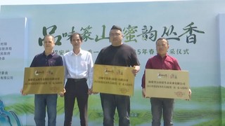 “大国好货一县一品”合作茶企授权仪式