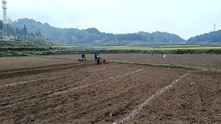 图为：村民正在南瓜基地翻土，覆膜.jpg