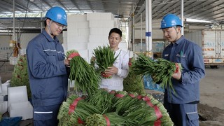 客户在给工作人员介绍韭菜的分装流程.jpg