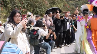 全国记者深入百里杜鹃探访.JPG
