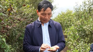 天印贡茶带头人万文兴.jpg