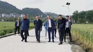 4、在官仓调研。付兴萍摄