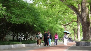 市民在公园内散步。