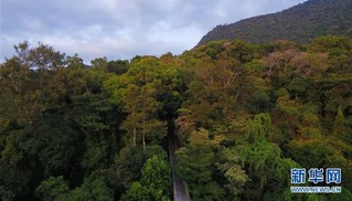 （社会）（10）海南热带雨林国家公园：打造自贸港生态名片