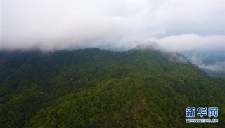 （社会）（12）海南热带雨林国家公园：打造自贸港生态名片