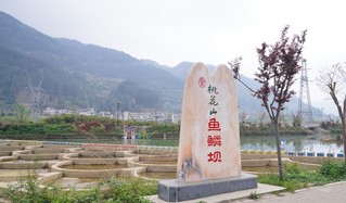 5 河道整治建成的“鱼鳞坝”.jpg