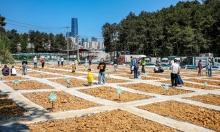 小区居民有序进入农场认领土地。