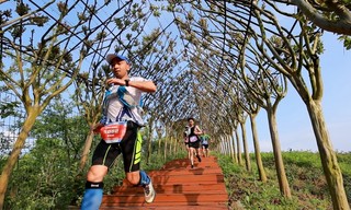 奔跑在景区。罗韩珑摄