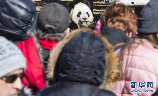 （国际）（1）多伦多动物园举行“向大熊猫道别”活动