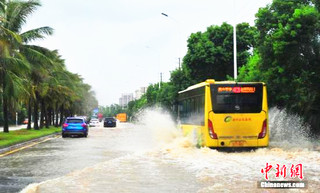 雷州gdp_湛江市奋勇经济区地图 湛江市奋勇经济区卫星地图 湛江市奋勇经济区高清航拍地图 湛江市奋勇经济区高清卫星地图(2)