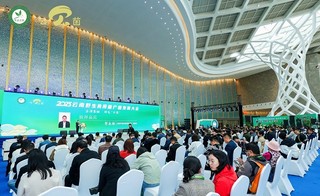 大会现场。主办方供图.jpg