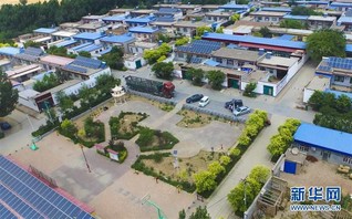 （社会）（1）河北武强：田园乡村美如画