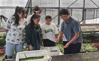 培育“黄金草” 。 黔南民族师范学院供图