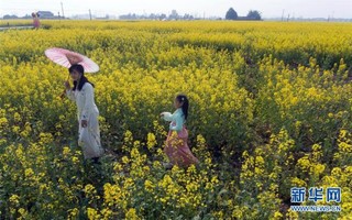 （春季美丽生态）（5）四川：以“花”为媒 实现乡村振兴