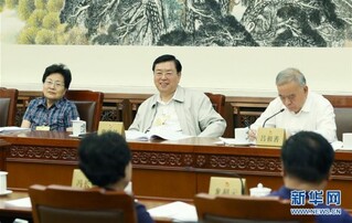 （时政）张德江参加十二届全国人大常委会第二十九次会议分组审议