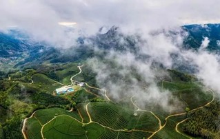 必威betway入口|新万博亚洲|2023年中国茶叶区域公用品牌价值评估结果发布 (2023-05-23)