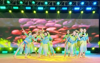 4、开幕晚会现场。.jpg
