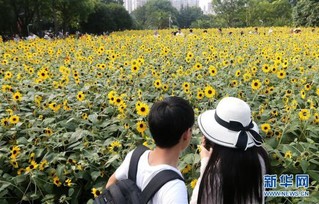 （社会）（5）上海：暂别阴雨 游人赏花