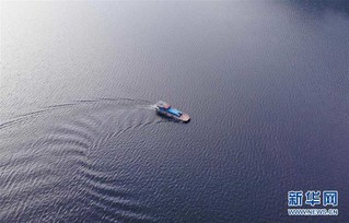 （社会）（4）太平湖上的“为民服务船”