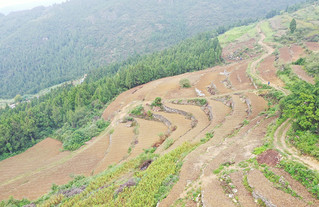 新光村撂荒地图斑整治项目。