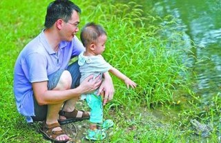 大群牛蛙现身公园 专家:见到请立即打死它