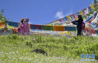 （美丽中国）（1）西藏林芝：避暑天堂惹人醉