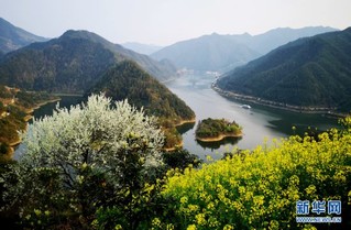 3月20日,安徽歙县,新安江畔,武阳乡正口村大川岛风光正好.