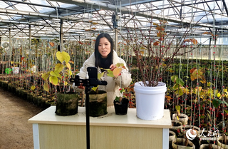主播在四季春园林苗圃基地直播卖货。人民网记者 肖懿木摄