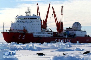 （“雪龙”探南极）（1）“雪龙”号船边的南极企鹅